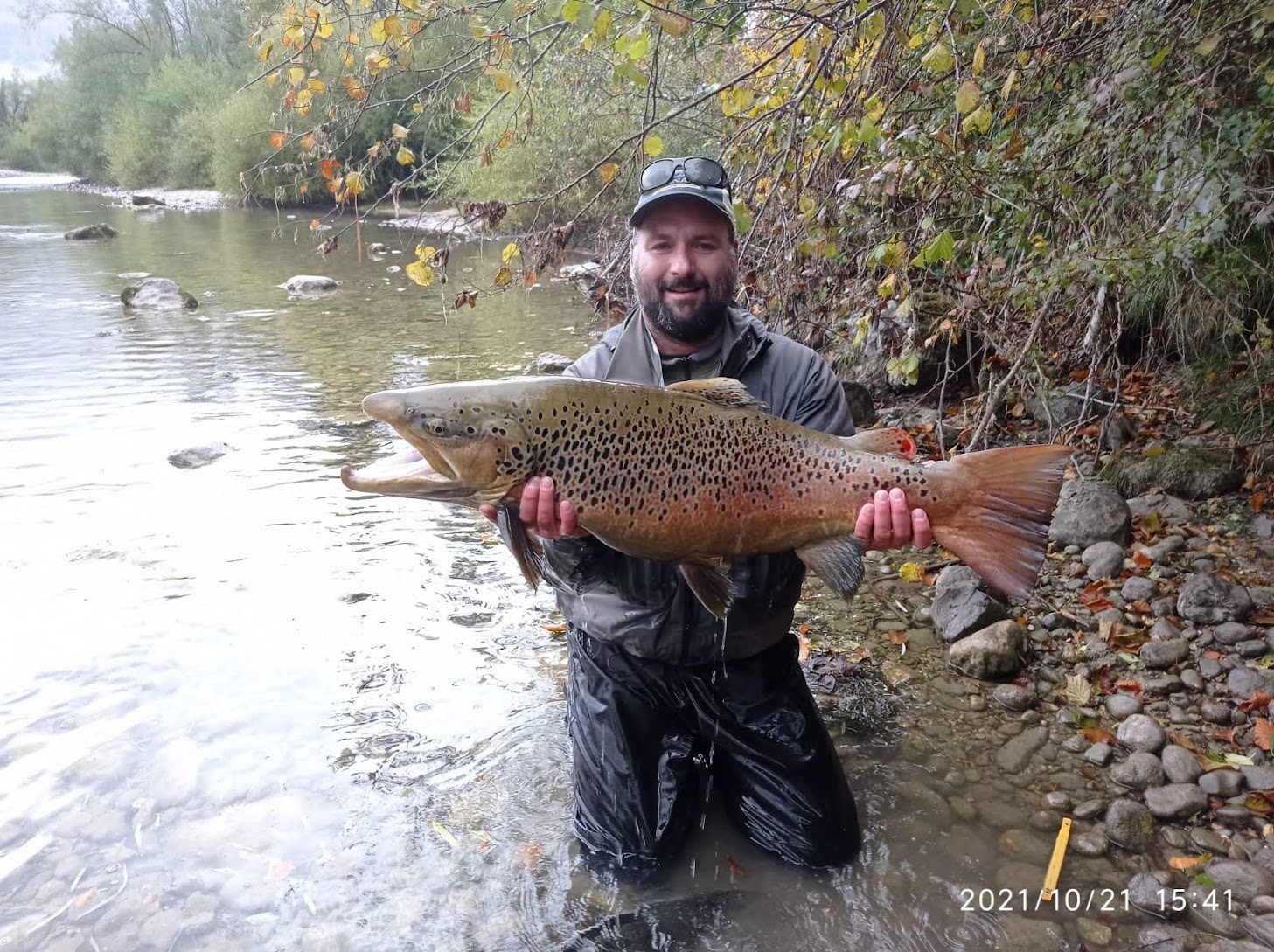 IMG-20211021-WA0167